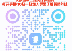 指定教程“牵手跑胡子外挂怎么装”详细开挂教程